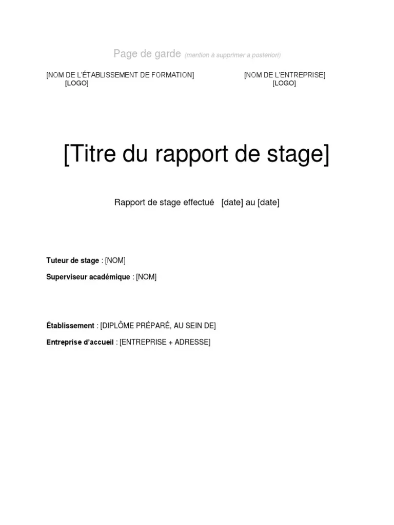 Conseils essentiels pour réussir la rédaction de son rapport de stage de 3e